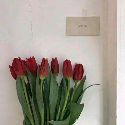 特朗普：伊朗谈判代表“最好尽快认真起来，否则就晚了”